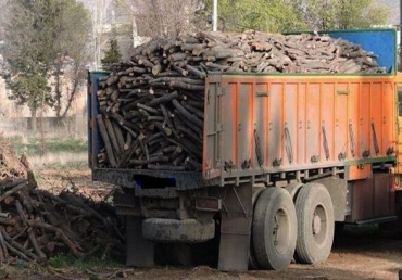 دامن جنگل‌های زنجان آب می‌رود